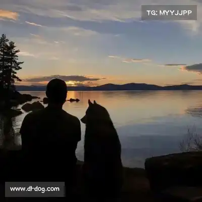 郜韬鲲