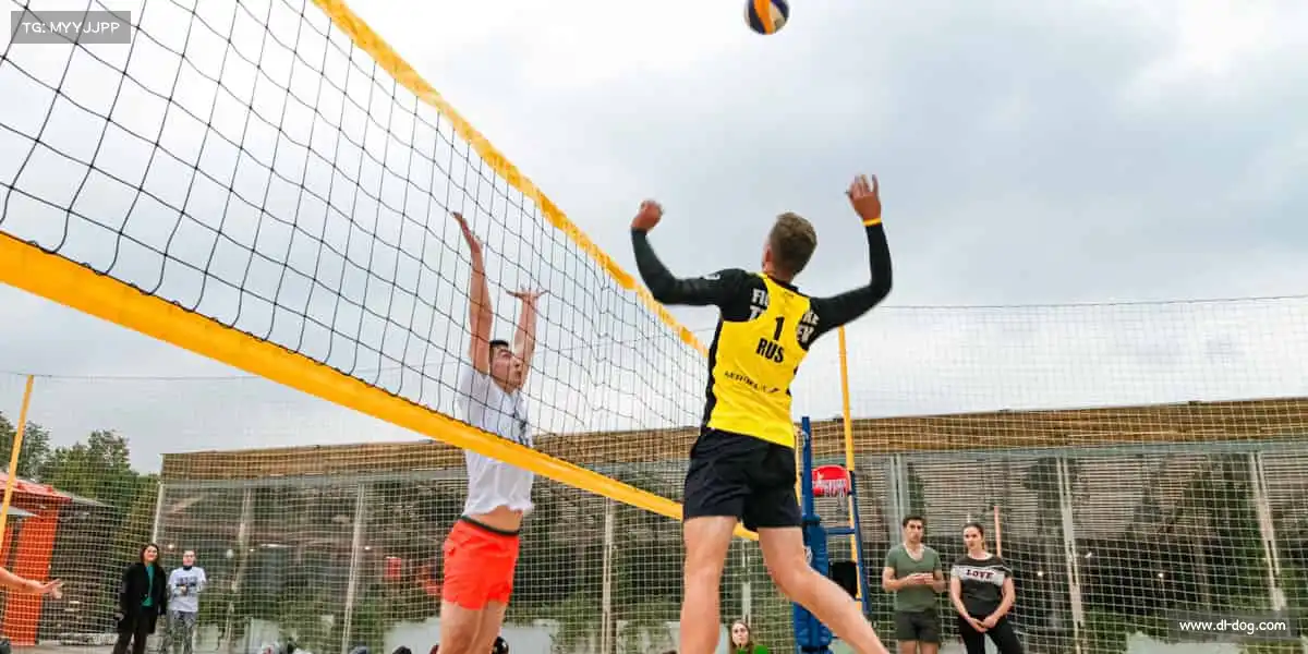 我们的品牌价值